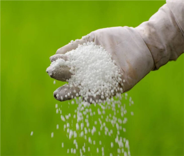 Neem Urea